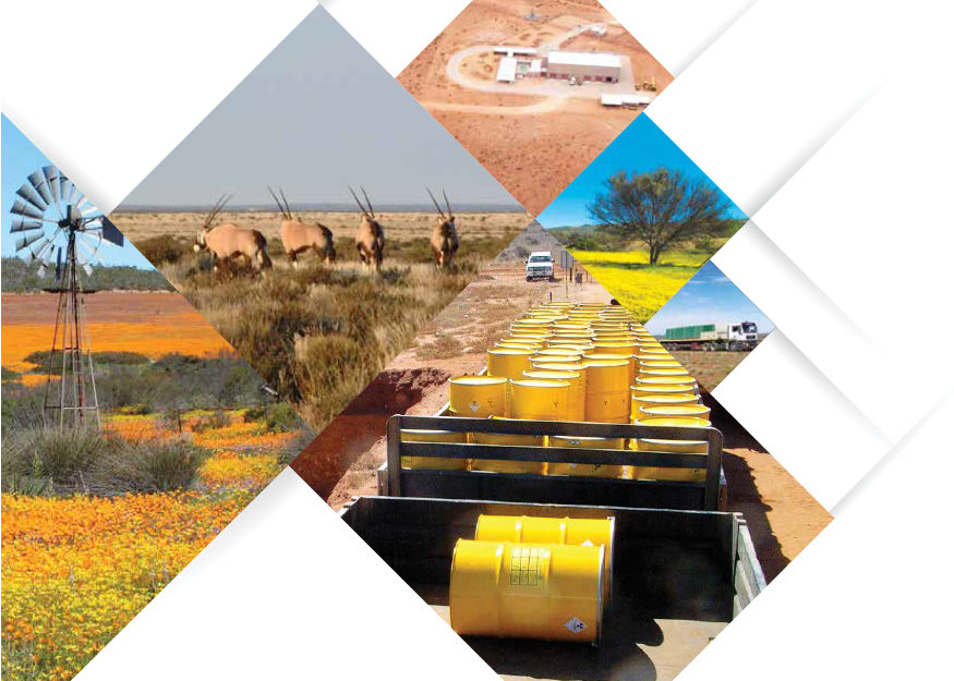 Reports Archives National Radioactive Waste Disposal Institute