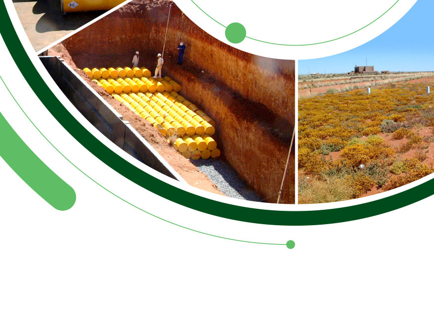 Reports Archives National Radioactive Waste Disposal Institute