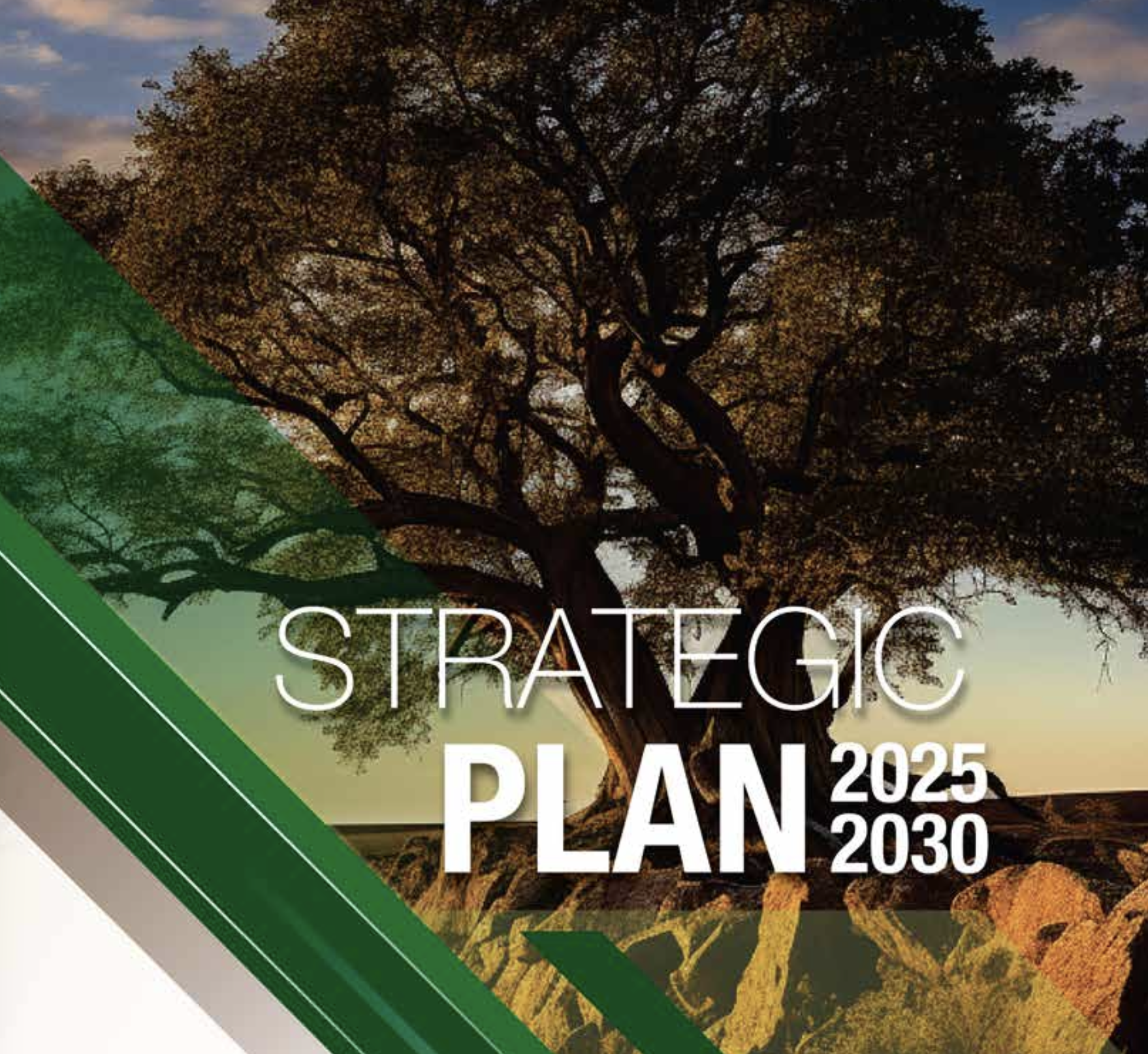 2025 - 2030